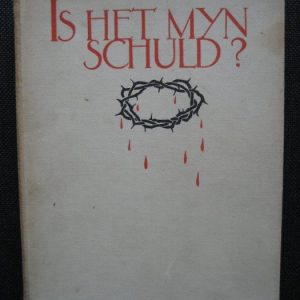Risseeuw, P.J.: Is het mijn schuld?